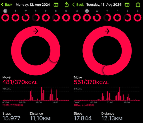 A screenshot of my activity data during the Tour de France Femmes